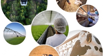 Goiás sedia 8ª Conferência Nacional sobre Defesa Agropecuária